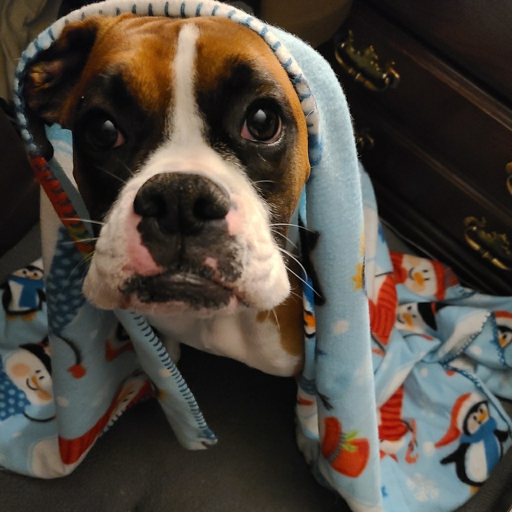 Meet your Posher, Amber